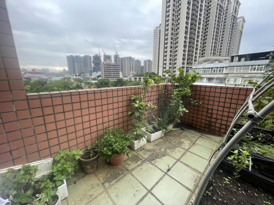 園藝維護案件圖片