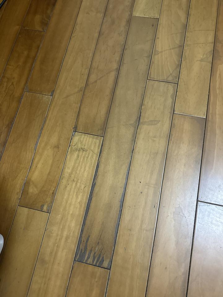 木地板打磨翻新案件圖片