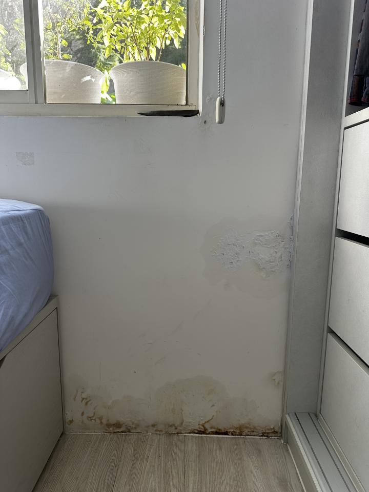 壁癌處理案件圖片