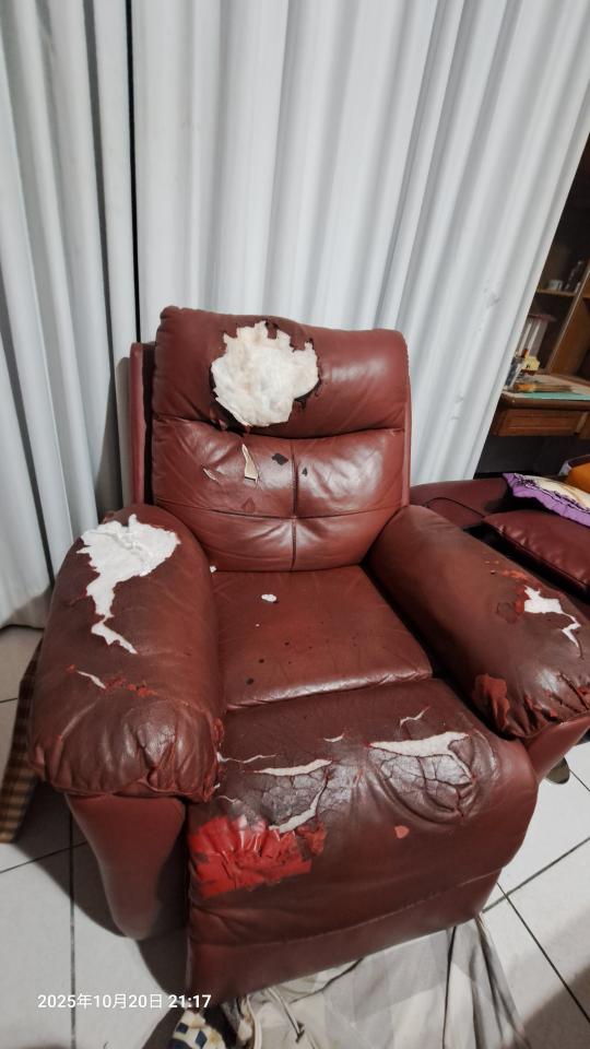 沙發修理案件圖片