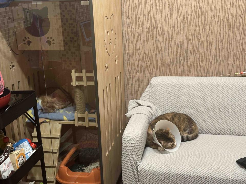 大型家具回收案件圖片