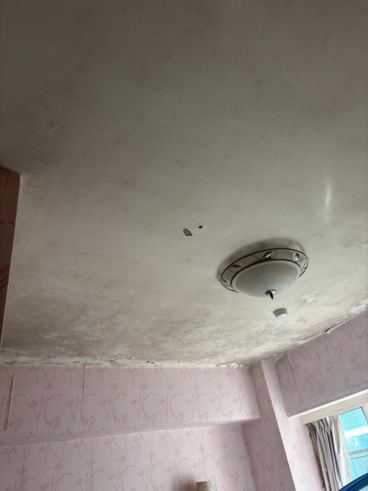 油漆工程案件圖片