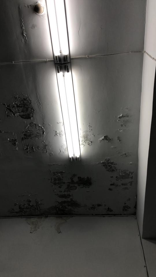 油漆工程案件圖片