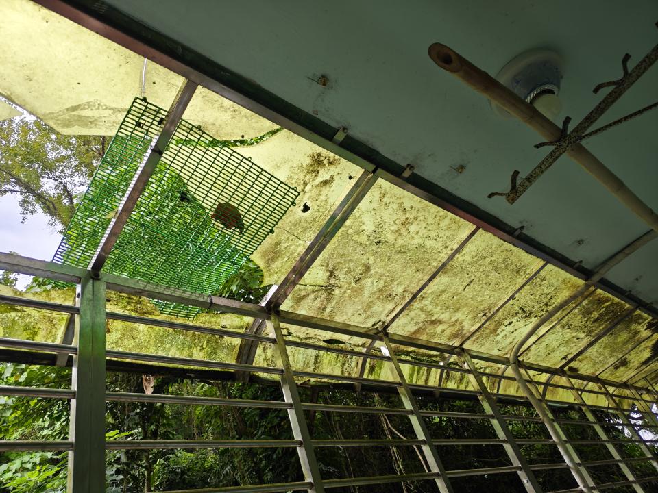 遮雨棚安裝案件圖片