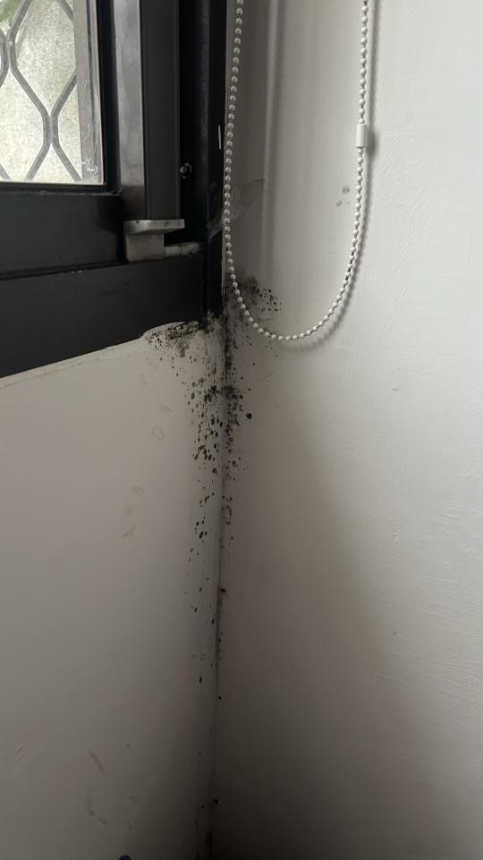 壁癌處理案件圖片