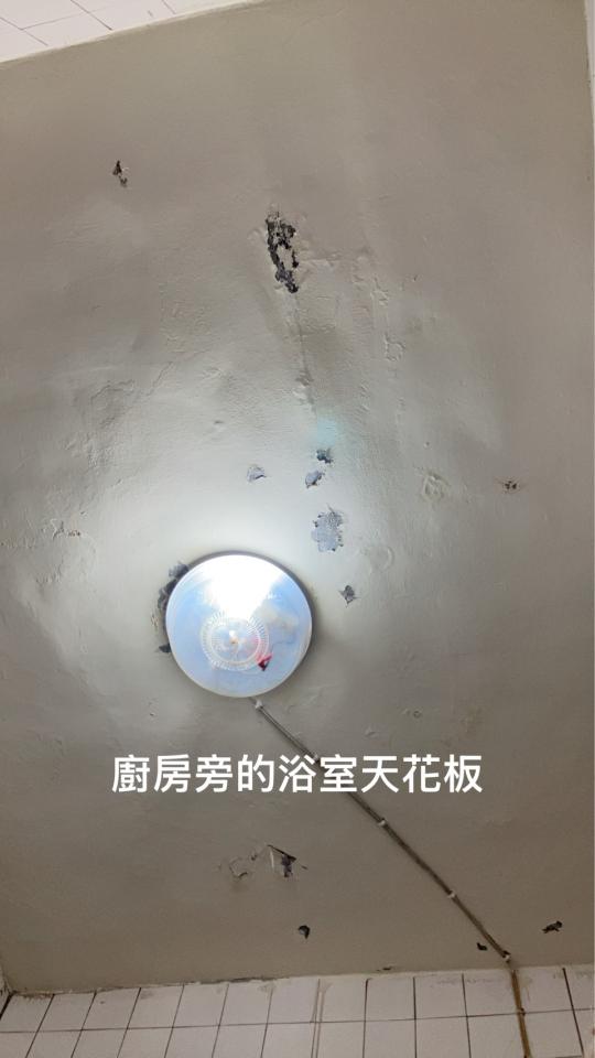 壁癌處理案件圖片