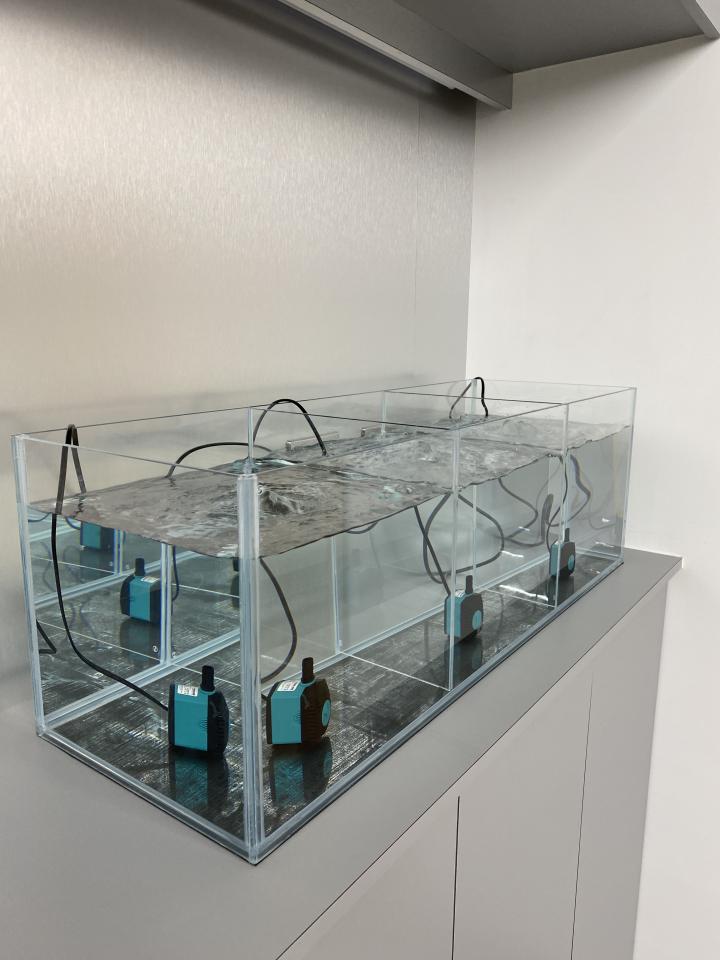 魚缸設計案件圖片