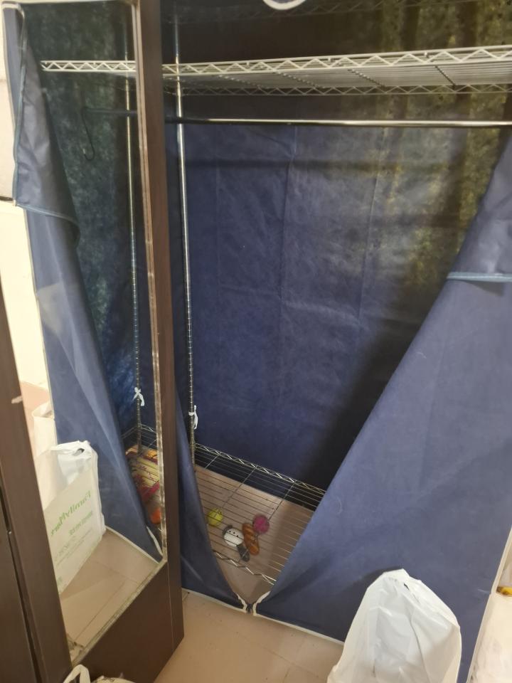 搬家清潔案件圖片