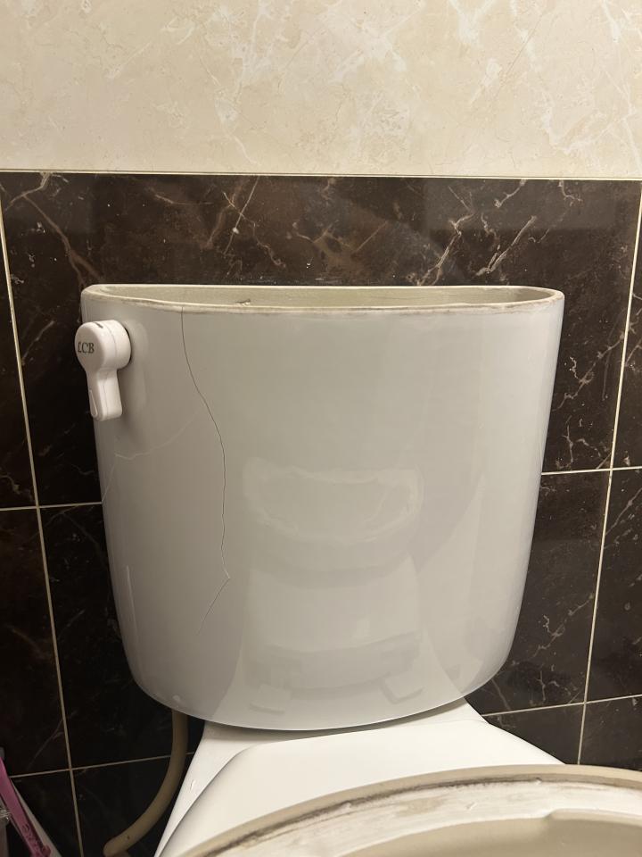 馬桶裝修案件圖片