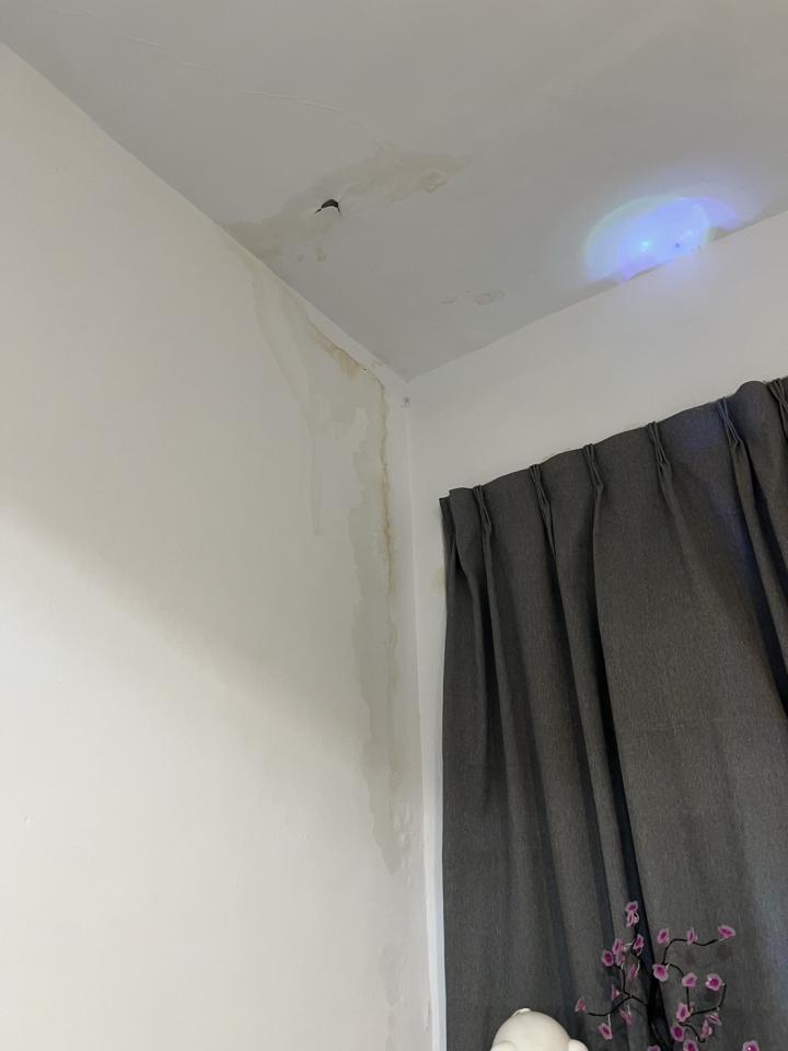 漏水鑑定案件圖片