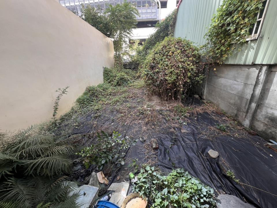 園藝維護案件圖片