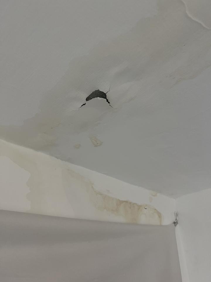 漏水鑑定案件圖片