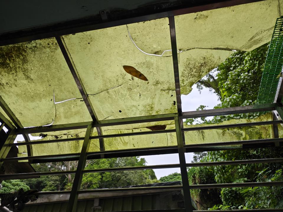 遮雨棚安裝案件圖片
