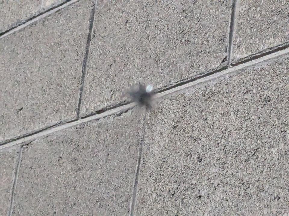 汽車玻璃修補案件圖片