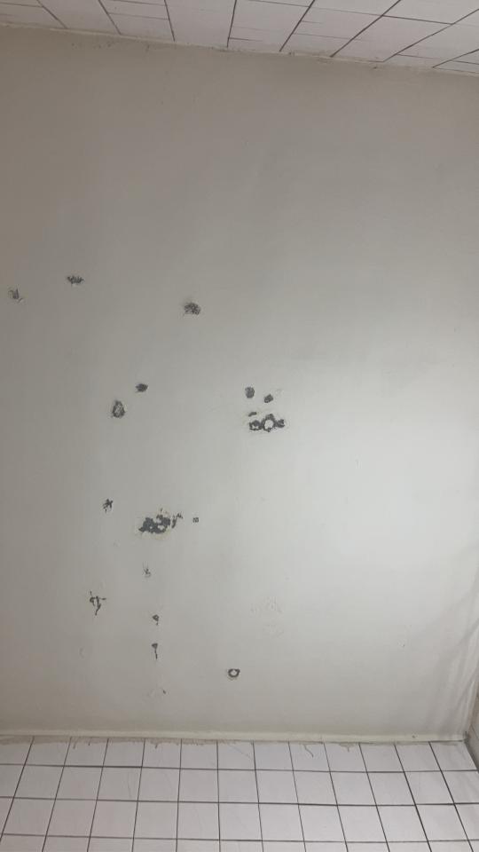 漏水處理案件圖片