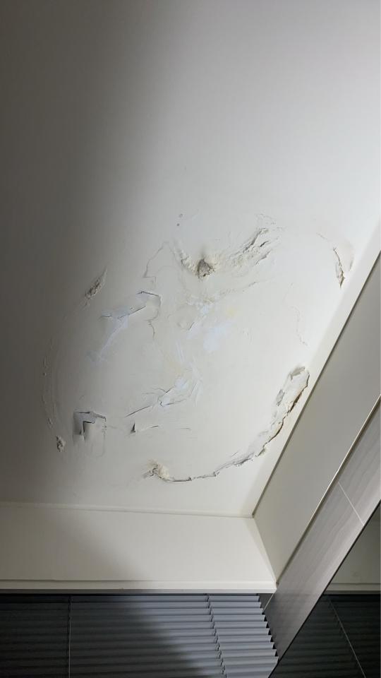 油漆工程案件圖片