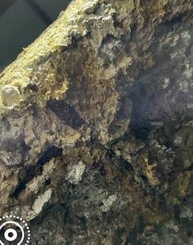 結構補強工程案件圖片