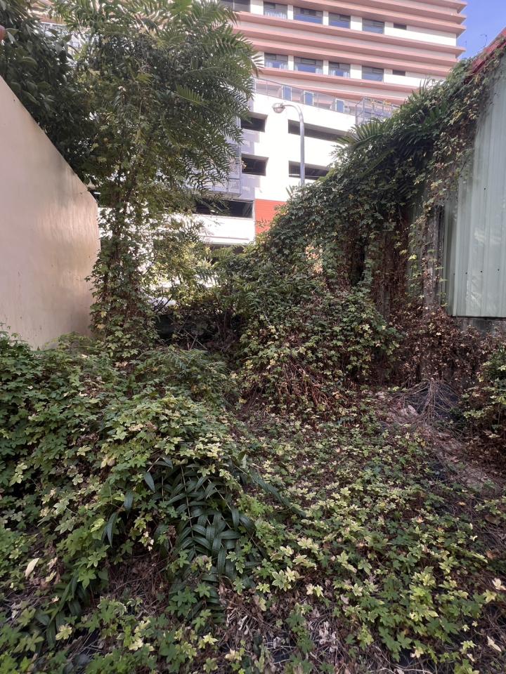 園藝維護案件圖片