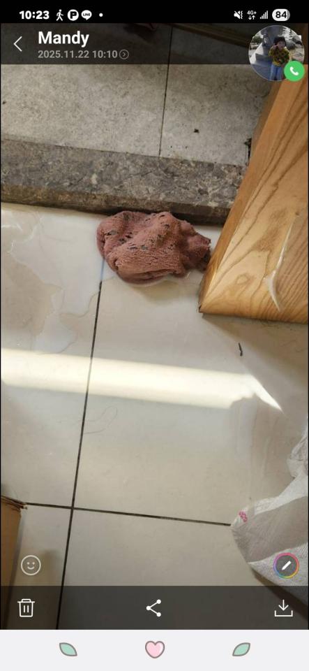 浴室翻新案件圖片