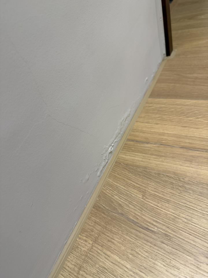 油漆工程案件圖片