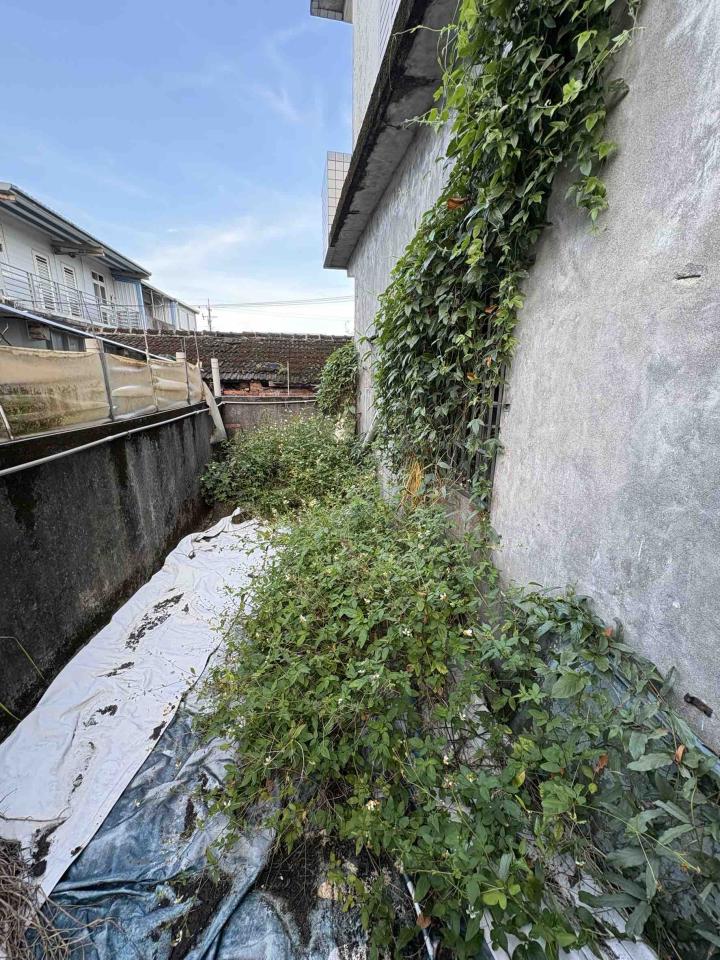 園藝維護案件圖片