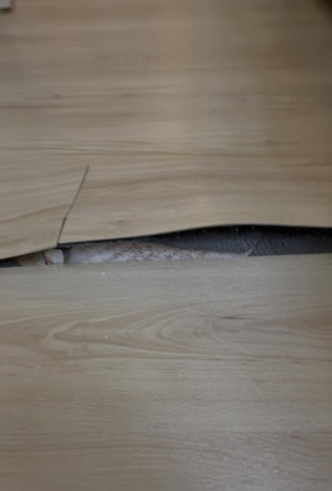 地板維修案件圖片