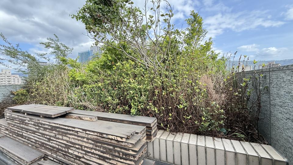 園藝維護案件圖片