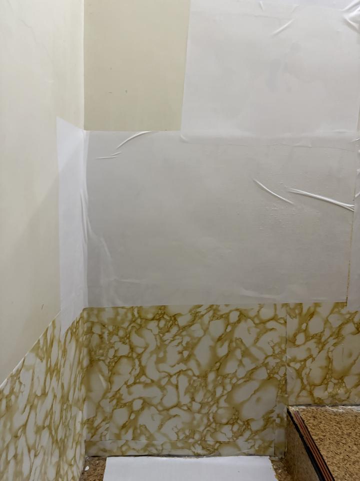 壁癌處理案件圖片