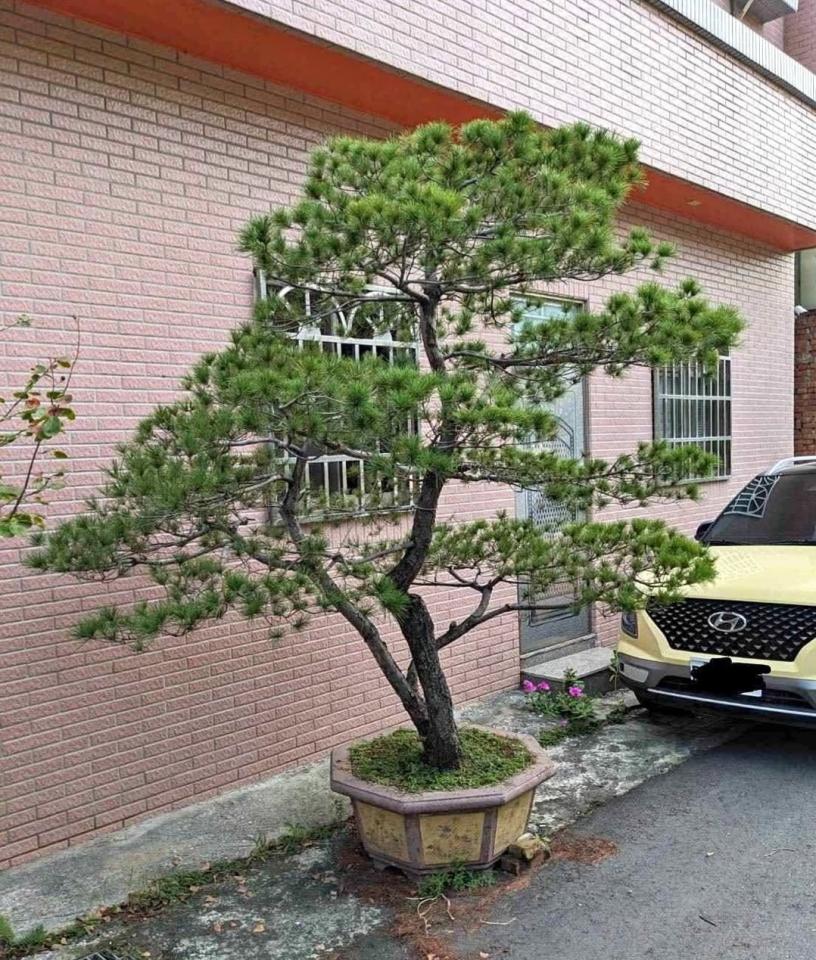 吊車公司案件圖片