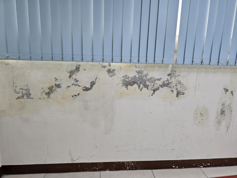 油漆工程案件圖片