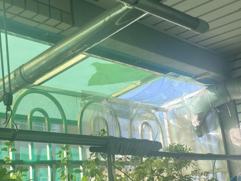 採光罩案件圖片