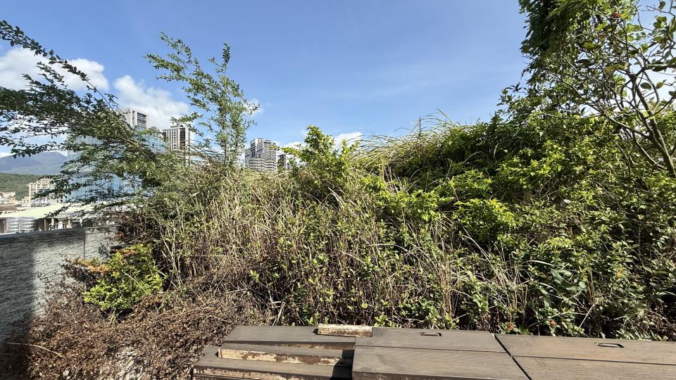 園藝維護案件圖片