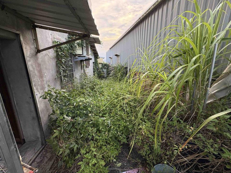 園藝維護案件圖片