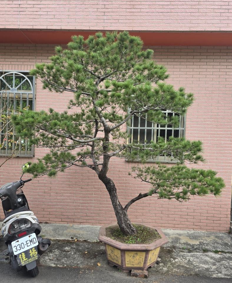 吊車公司案件圖片