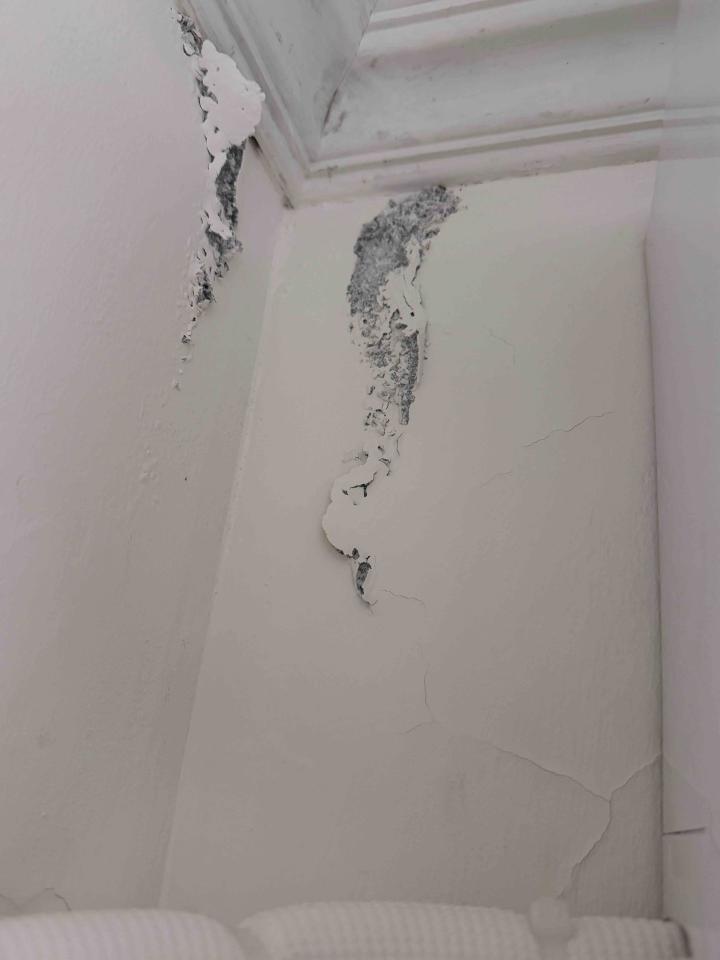 泥作/水泥施工案件圖片