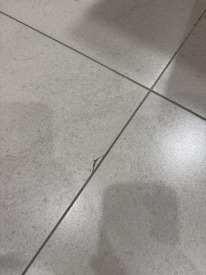 磁磚修補案件圖片