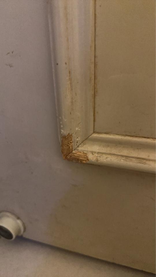 木工施工案件圖片