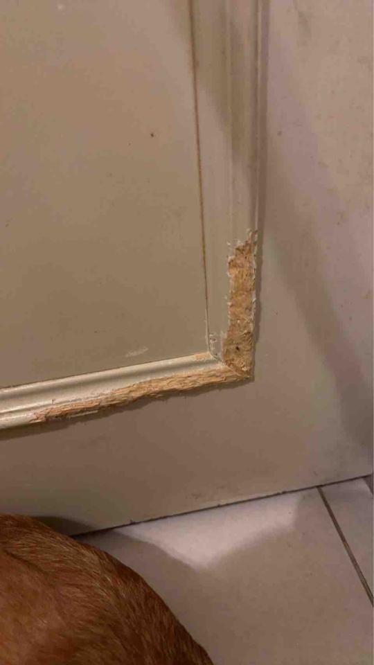 家具維修案件圖片