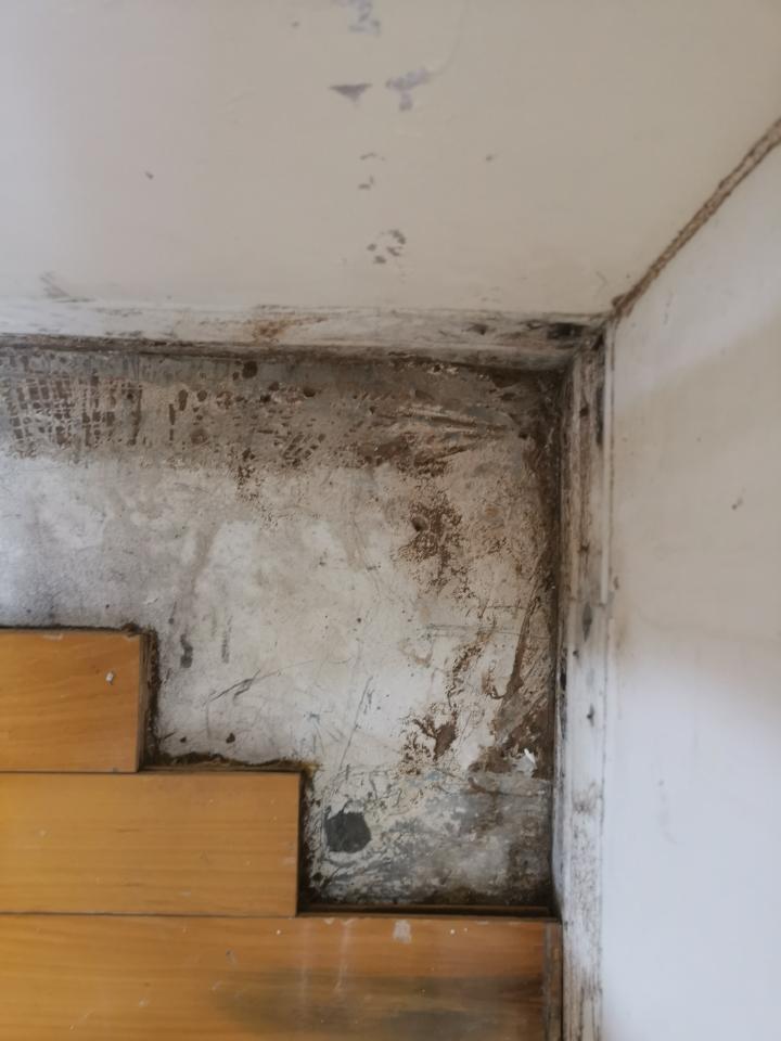 超耐磨木地板案件圖片