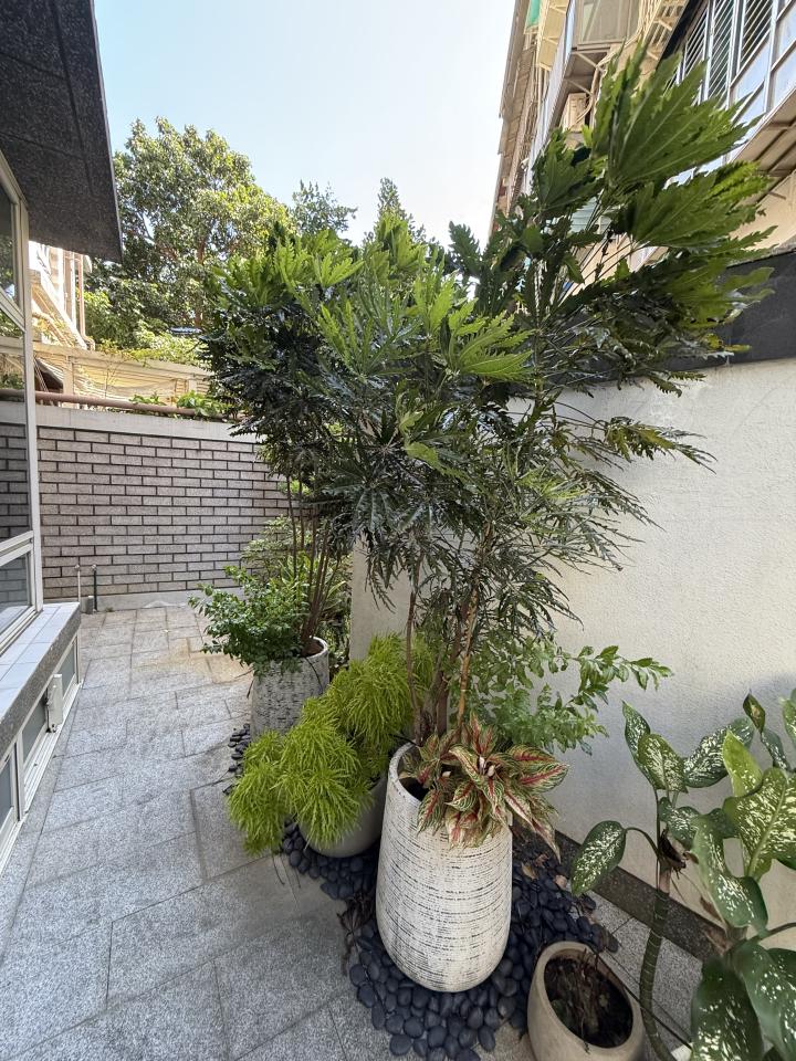 園藝維護案件圖片