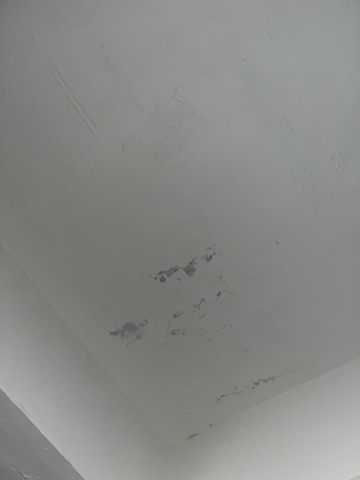 油漆工程案件圖片