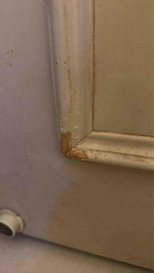 家具維修案件圖片