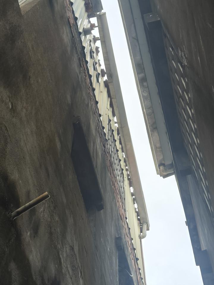 鐵皮屋頂案件圖片