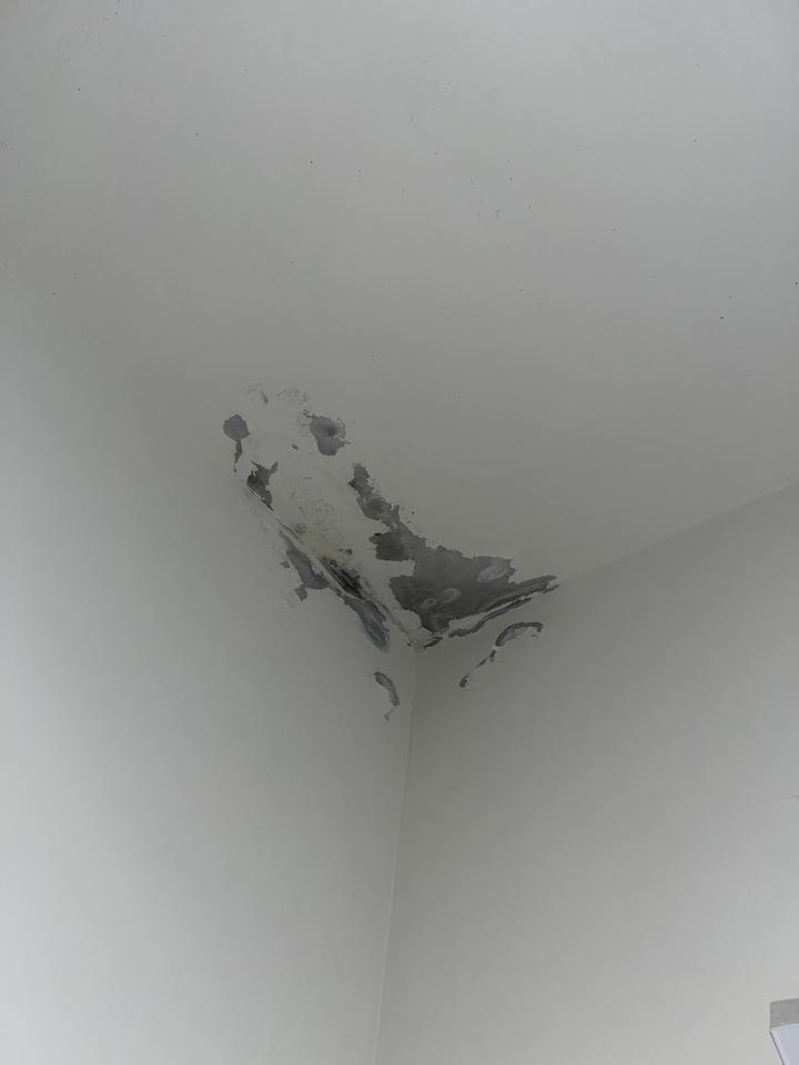 油漆工程案件圖片