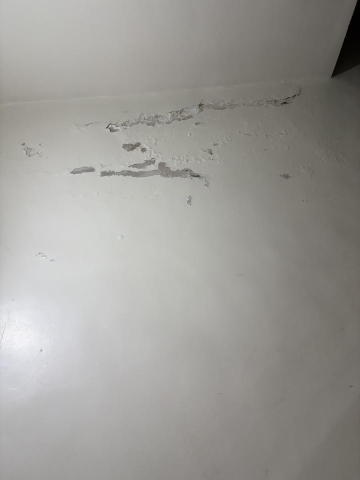 壁癌處理案件圖片