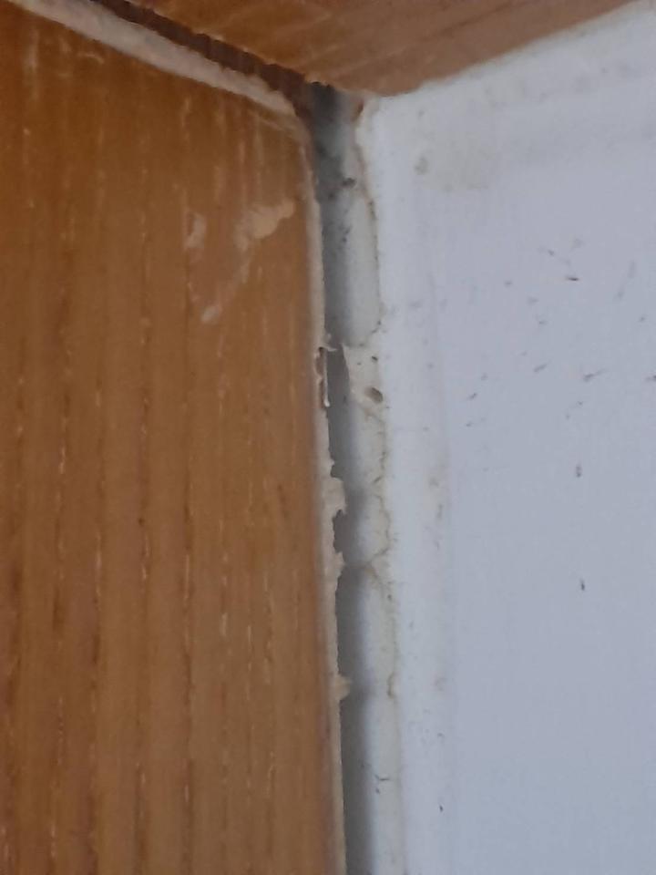 木工施工案件圖片