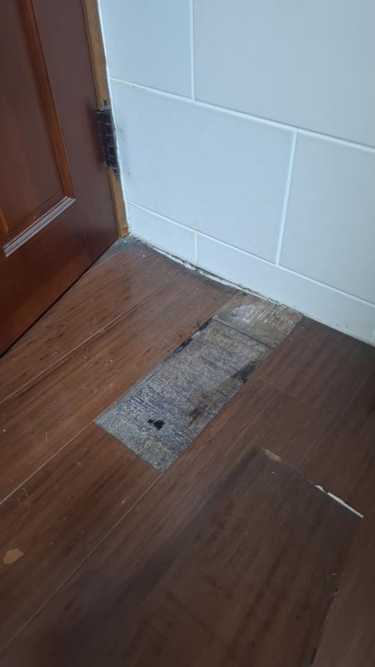 地板維修案件圖片