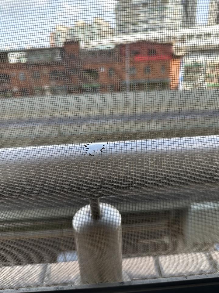 紗窗裝修案件圖片