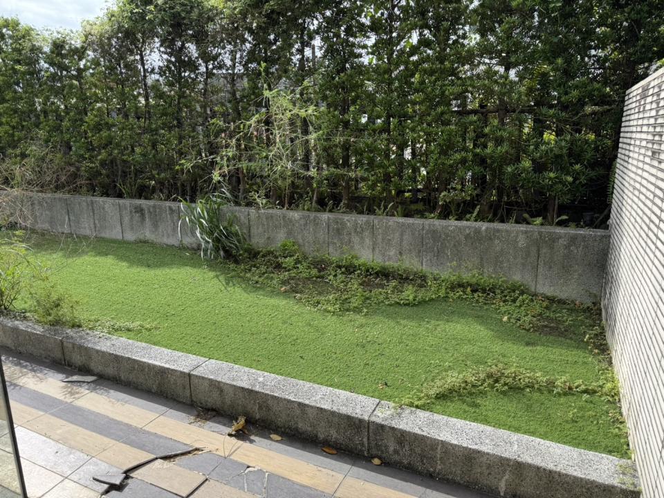 園藝維護案件圖片