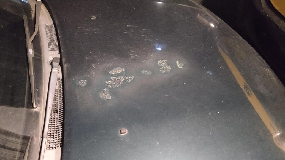 汽車板金烤漆案件圖片